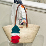 Mexico Tassel Bag